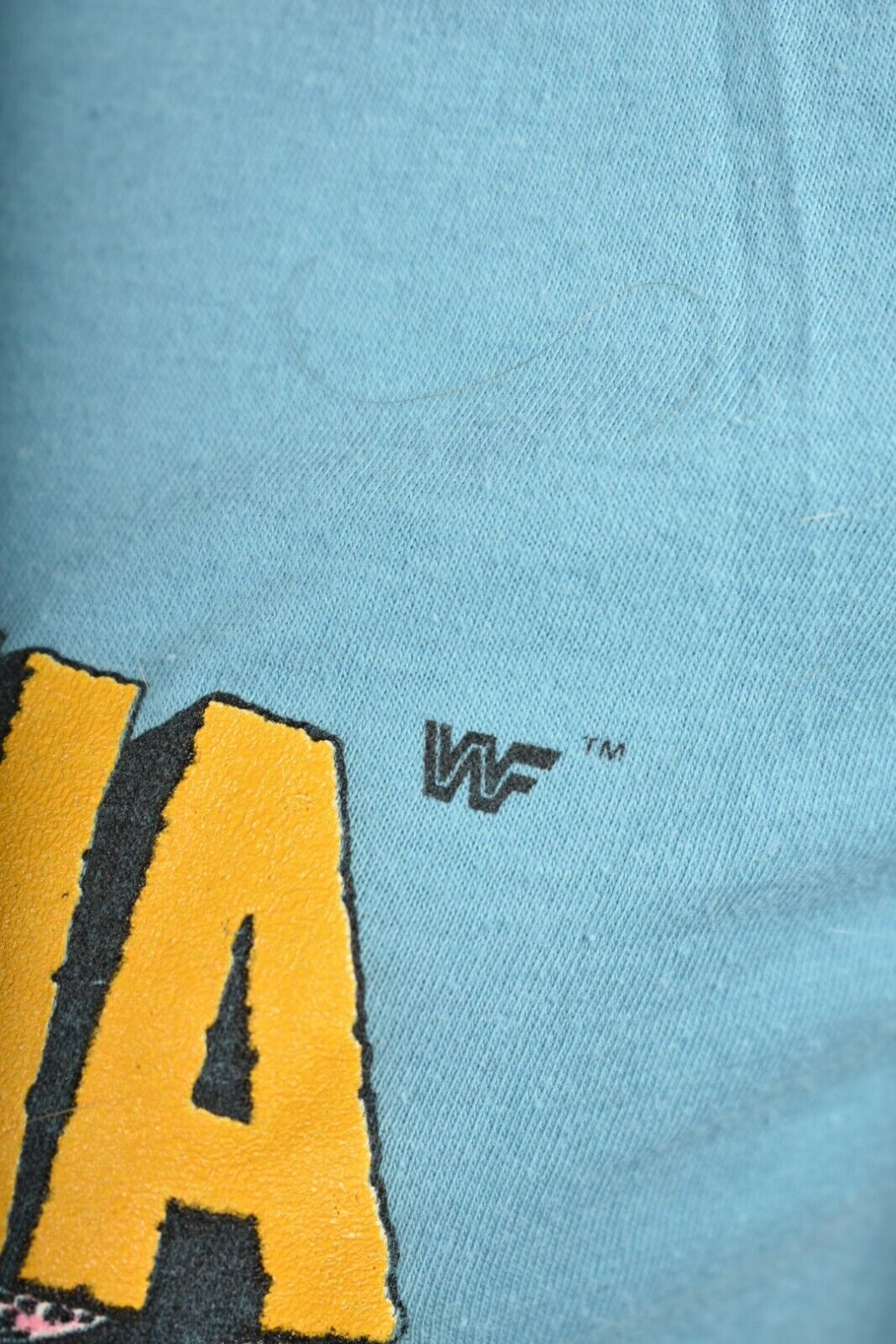 Vintage 1988 HULK HOGAN Blue Turquoise Hulkamania WWF T-Shirt Youth Large Canada